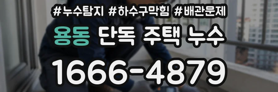 용동 단독 주택 누수