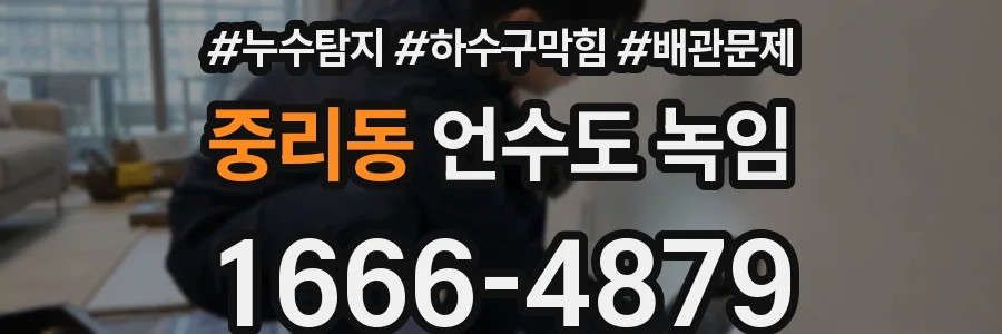 중리동 언수도 녹임