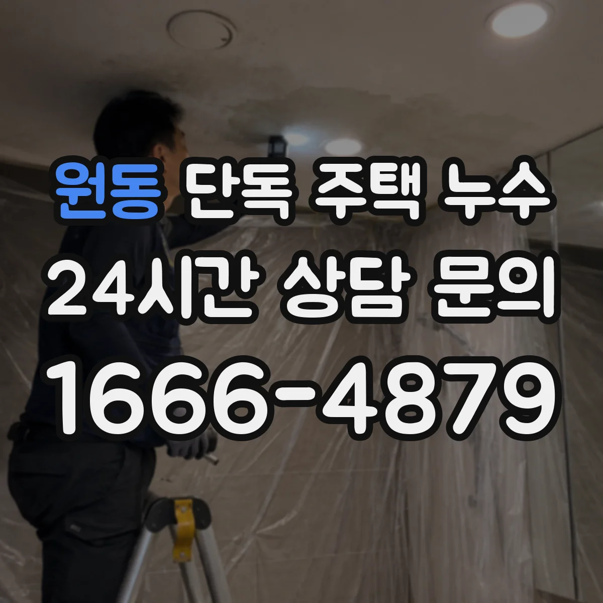 원동 단독 주택 누수