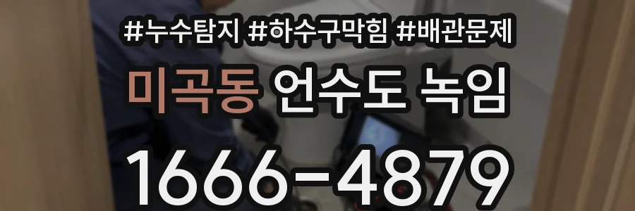 미곡동 언수도 녹임