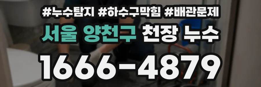 서울 양천구 천장 누수