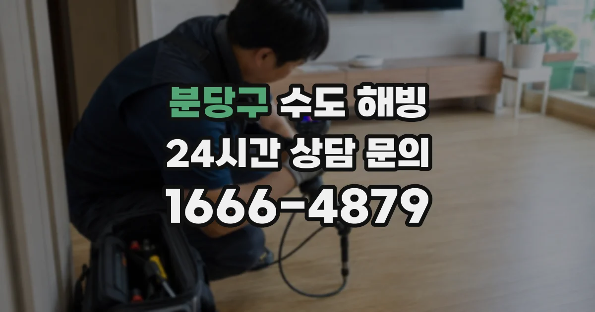 분당구 수도 해빙