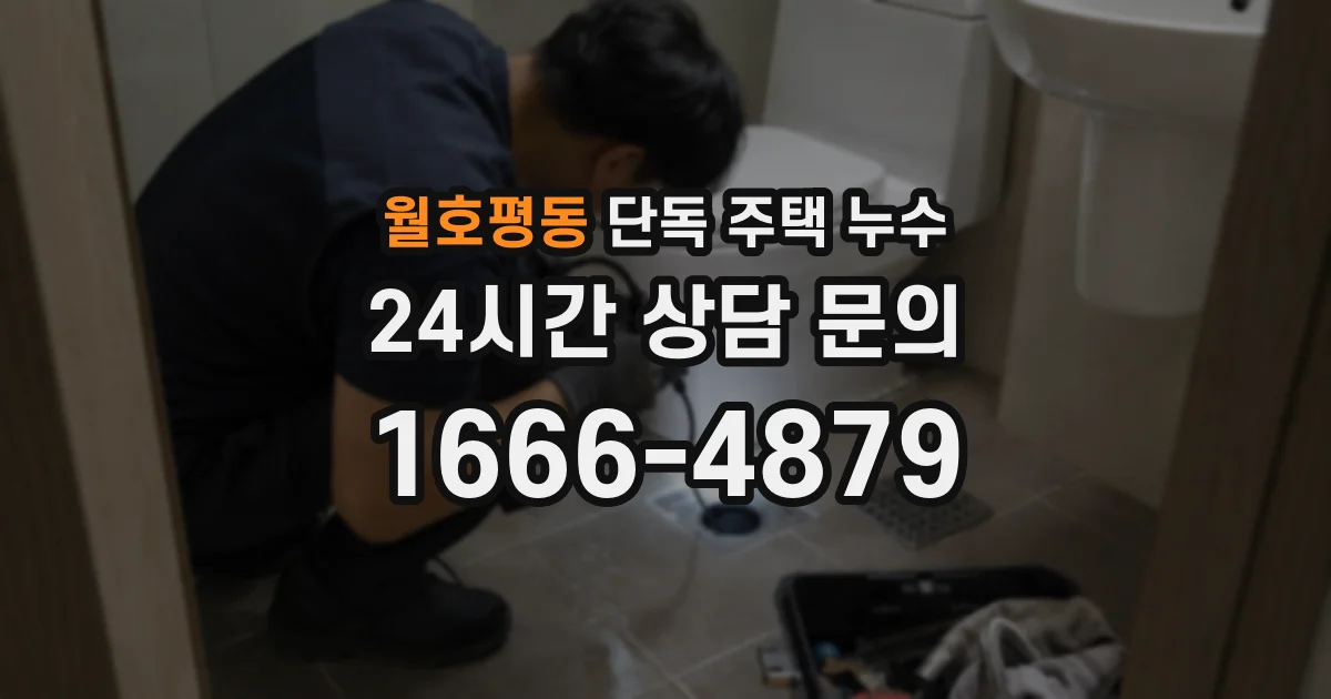 월호평동 단독 주택 누수