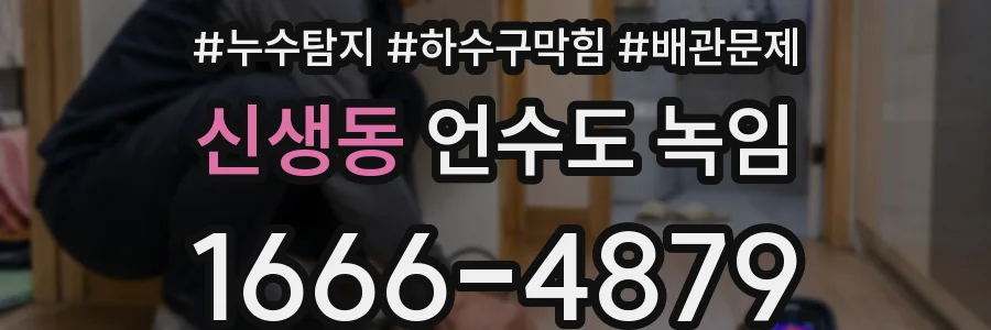 신생동 언수도 녹임