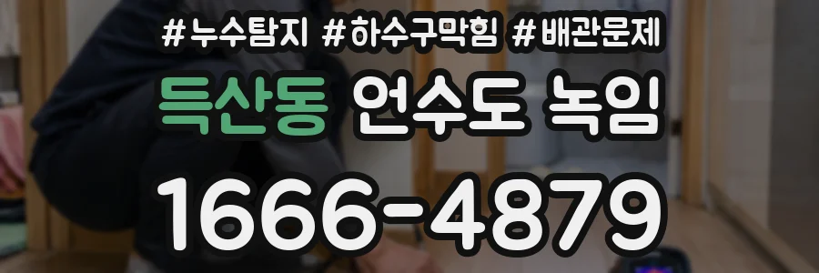 득산동 언수도 녹임