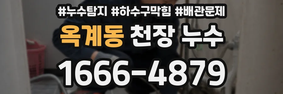 옥계동 천장 누수