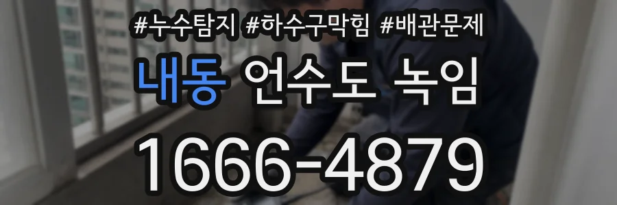 내동 언수도 녹임