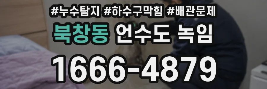 북창동 언수도 녹임