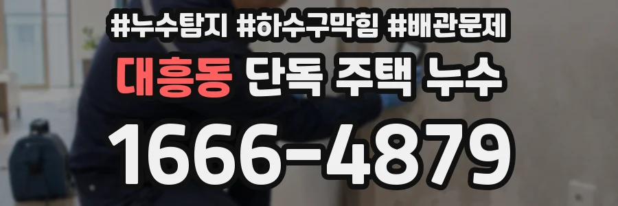 대흥동 단독 주택 누수