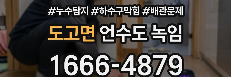 도고면 언수도 녹임
