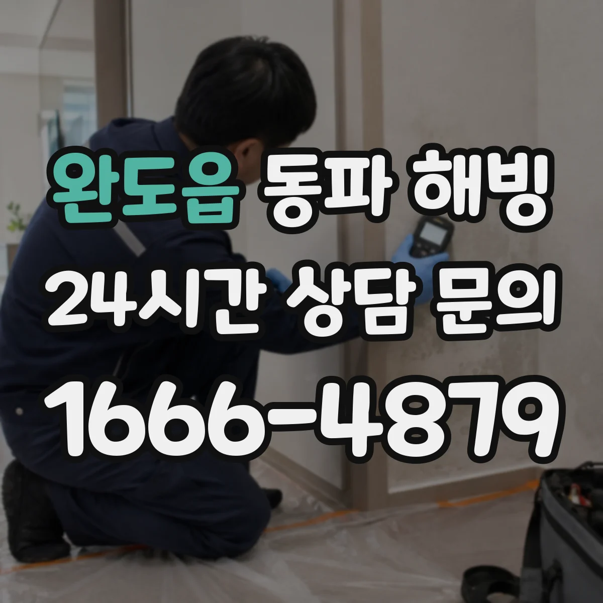 완도읍 동파 해빙