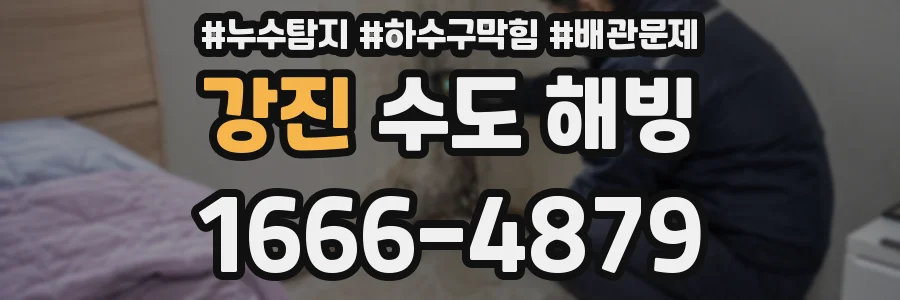 강진 수도 해빙