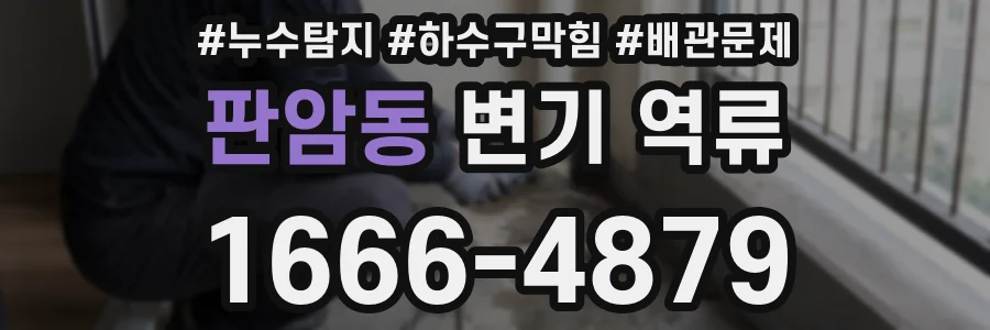 판암동 변기 역류