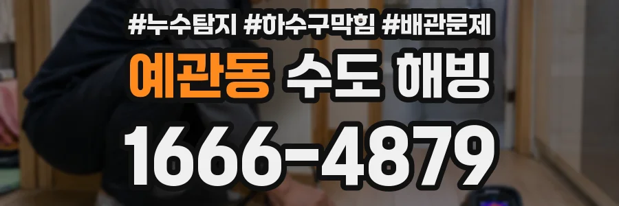 예관동 수도 해빙