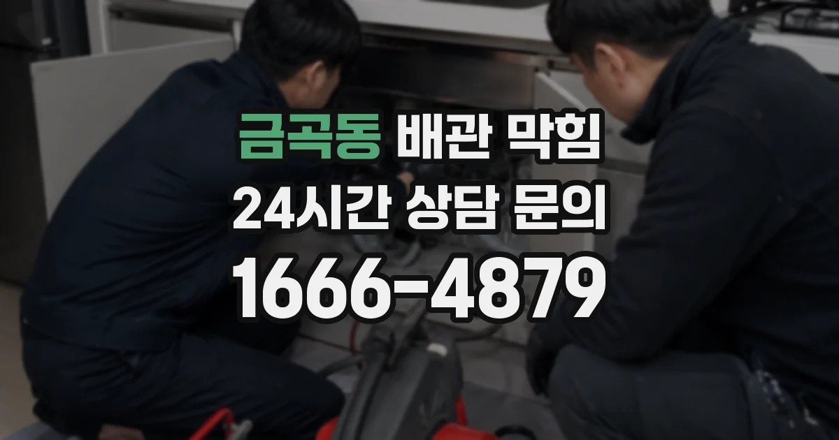 금곡동 배관 막힘