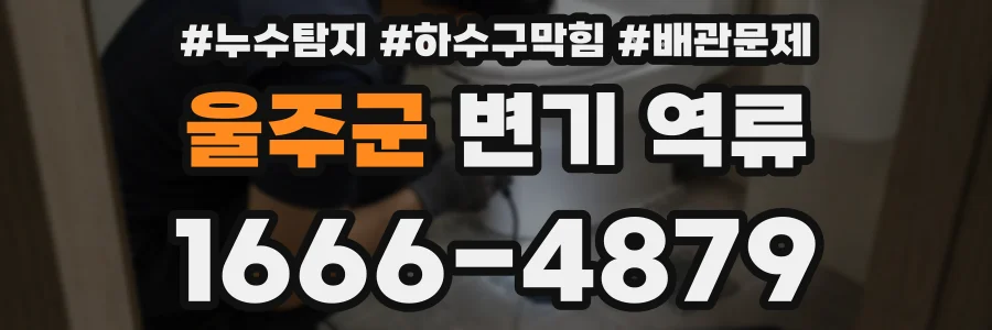 울주군 변기 역류