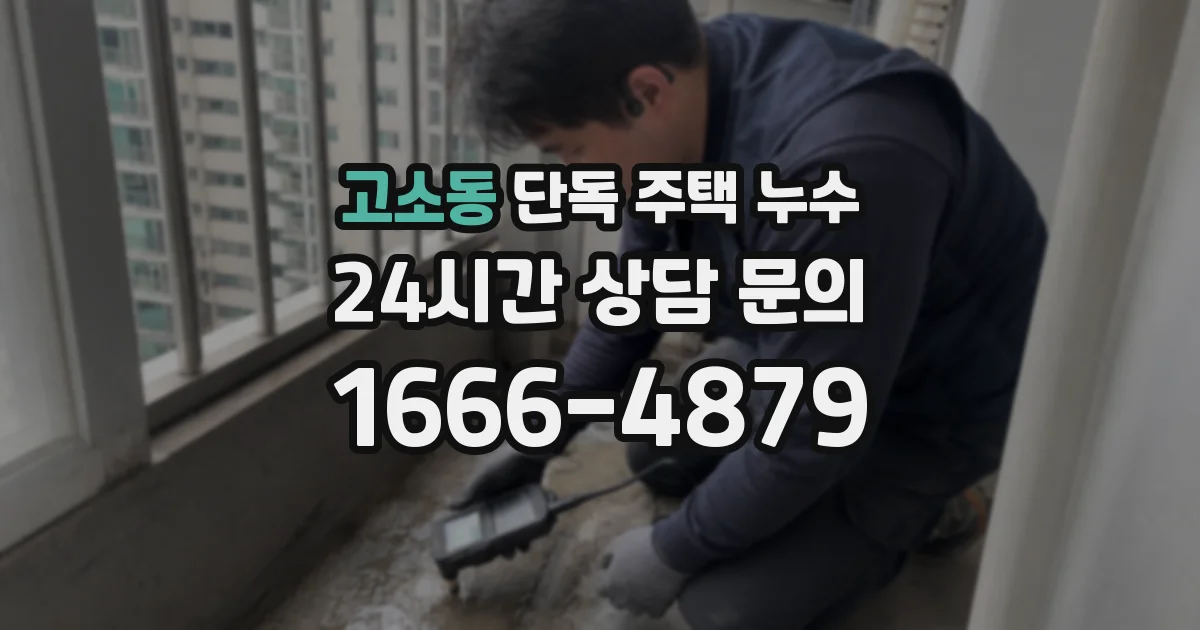 고소동 단독 주택 누수