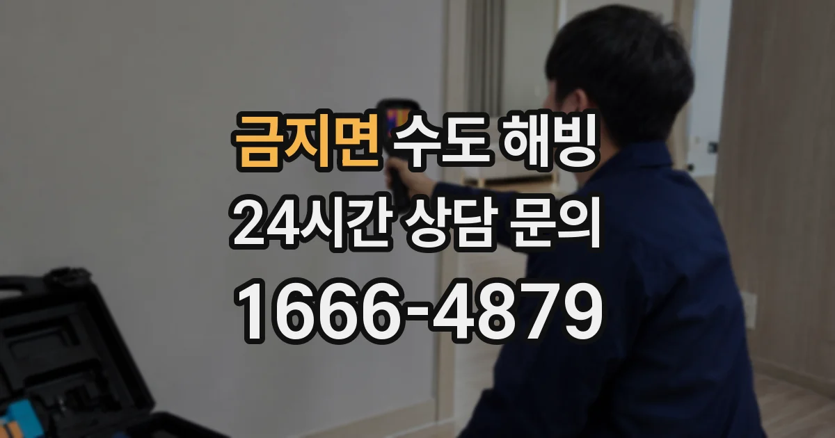 금지면 수도 해빙