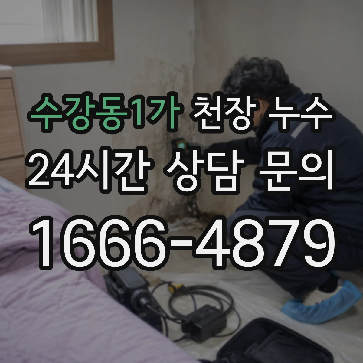 수강동1가 천장 누수