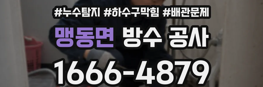 맹동면 방수 공사