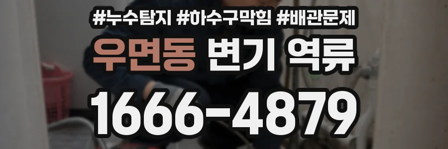 우면동 변기 역류