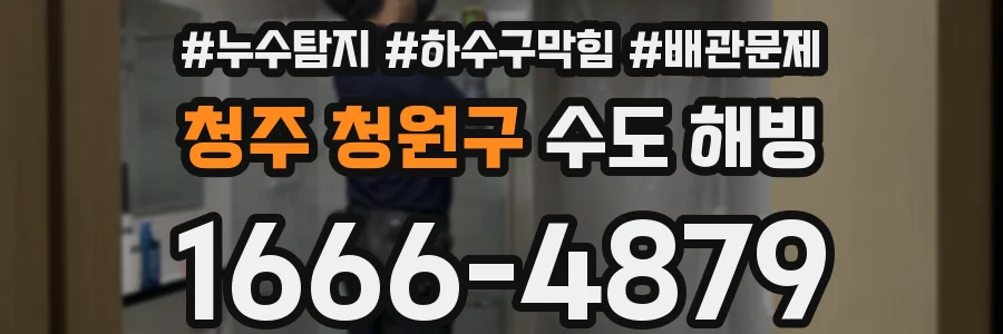 청주 청원구 수도 해빙