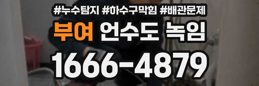 부여 언수도 녹임