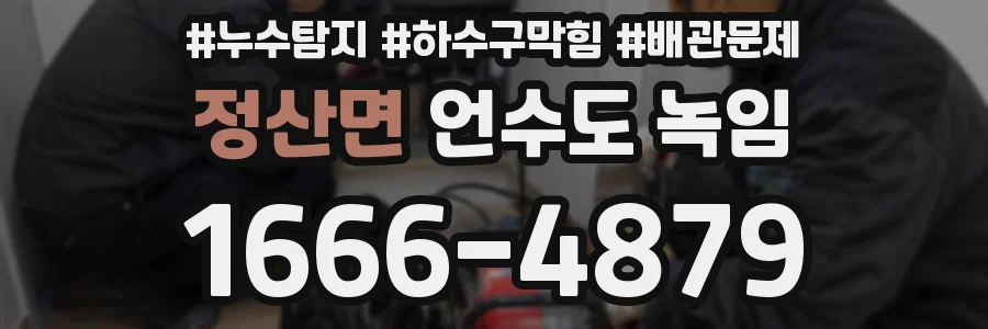 정산면 언수도 녹임