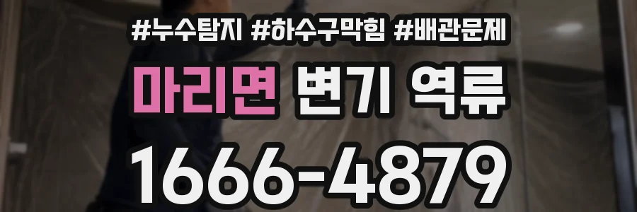 마리면 변기 역류