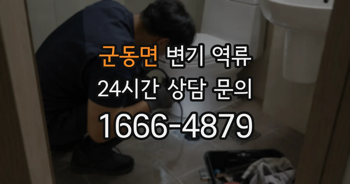 군동면 변기 역류