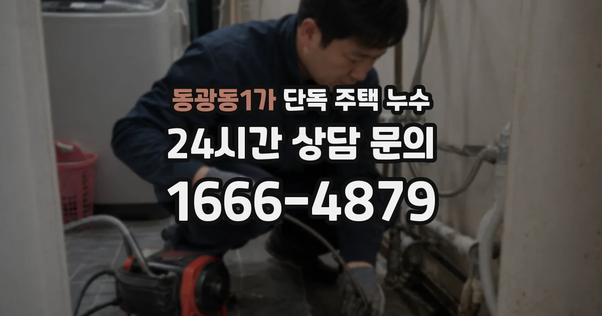 동광동1가 단독 주택 누수