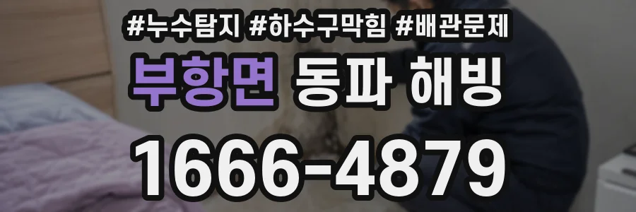 부항면 동파 해빙