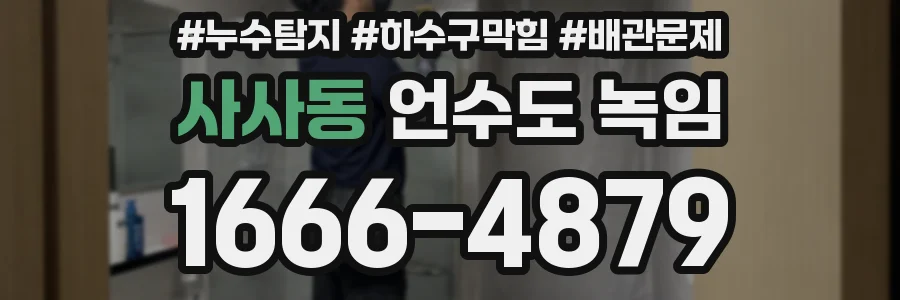 사사동 언수도 녹임