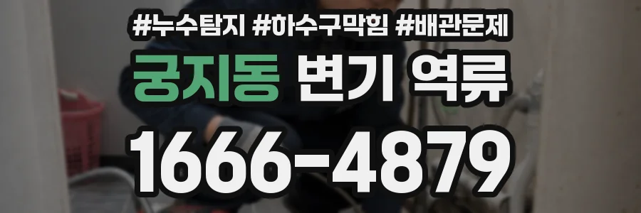 궁지동 변기 역류