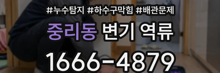 중리동 변기 역류