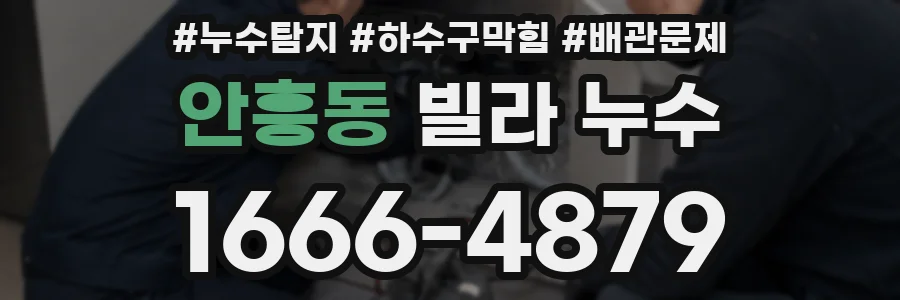 안흥동 빌라 누수