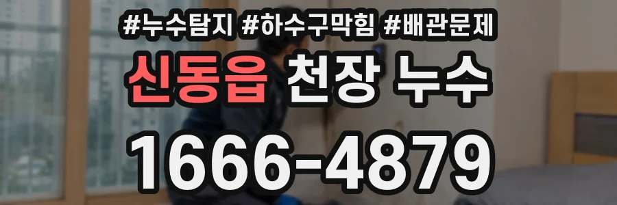 신동읍 천장 누수