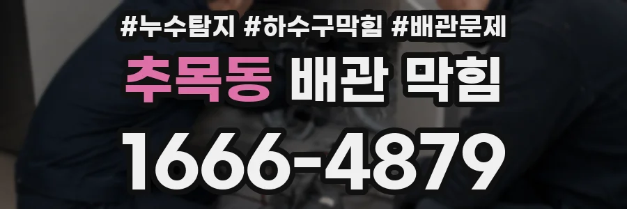 추목동 배관 막힘
