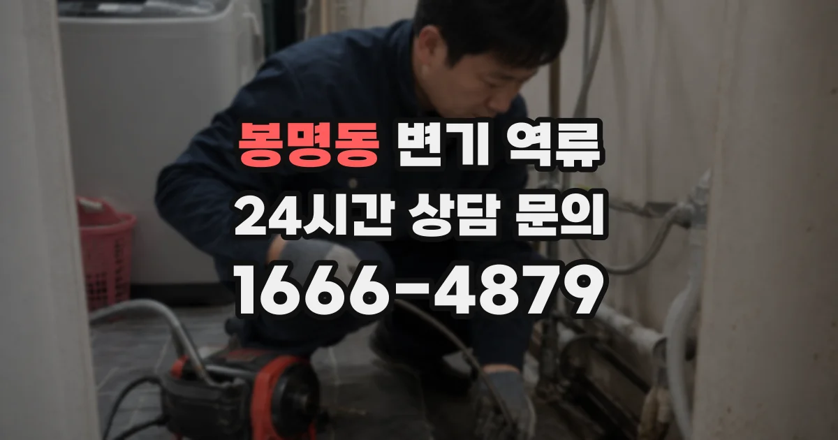 봉명동 변기 역류