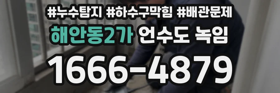 해안동2가 언수도 녹임