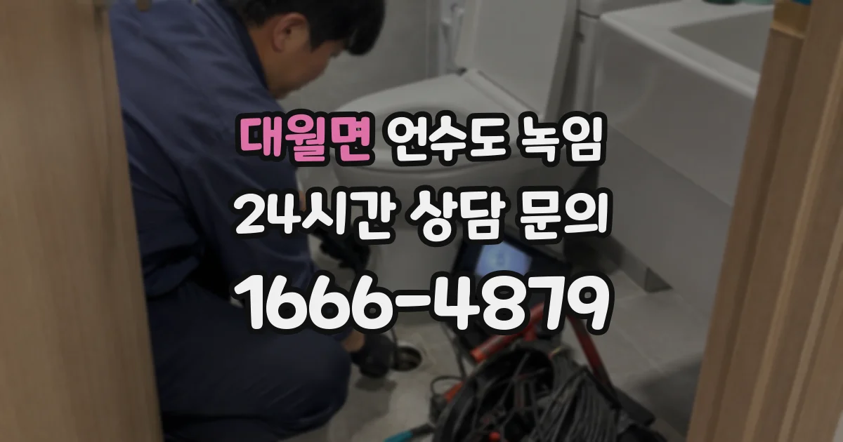 대월면 언수도 녹임