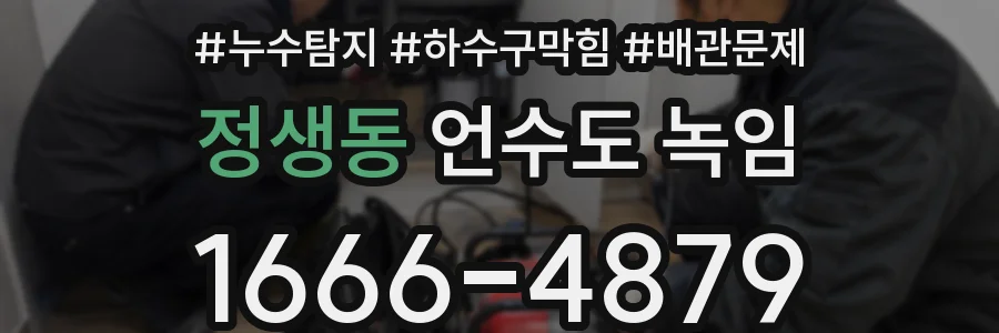 정생동 언수도 녹임