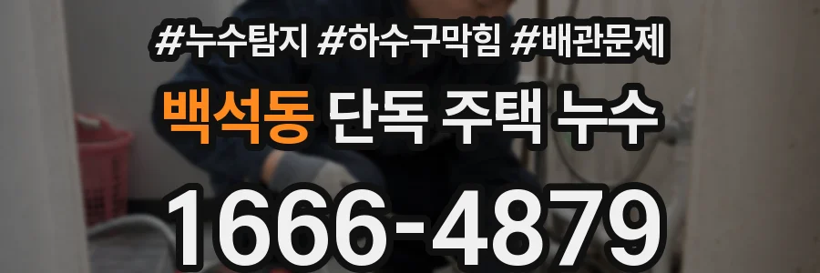 백석동 단독 주택 누수