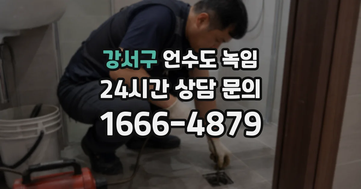 강서구 언수도 녹임