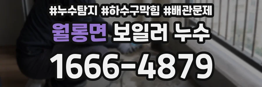 월롱면 보일러 누수