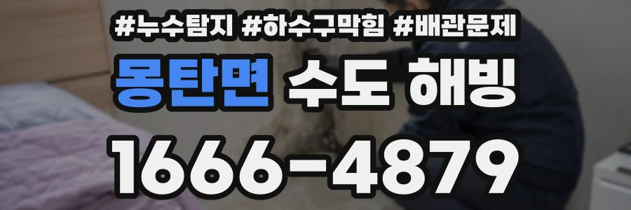 몽탄면 수도 해빙