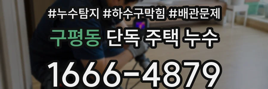 구평동 단독 주택 누수