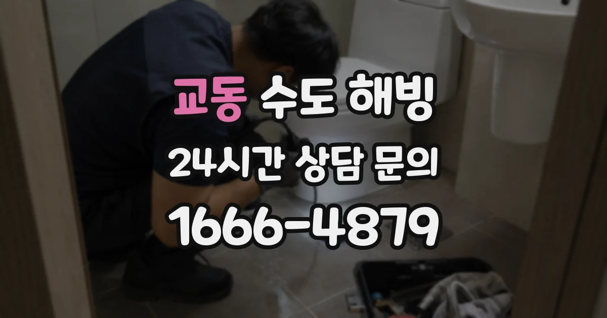 교동 수도 해빙