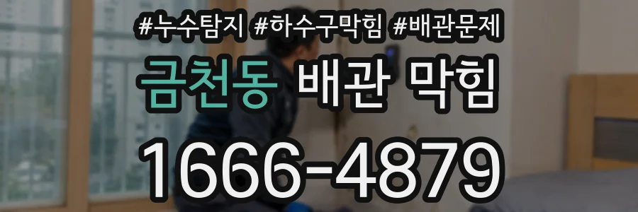 금천동 배관 막힘