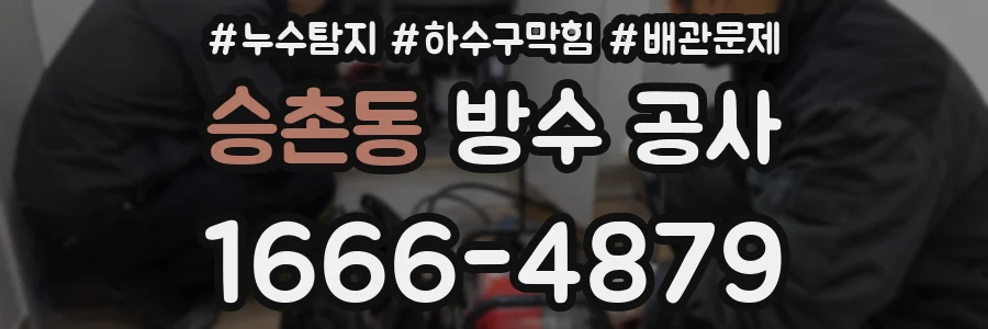 승촌동 방수 공사